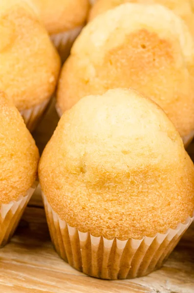 Freshly baked cupcakes — Stock Photo, Image