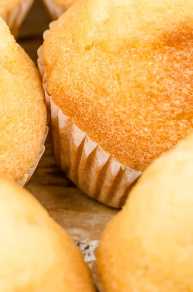 Freshly baked cupcakes — Stock Photo, Image