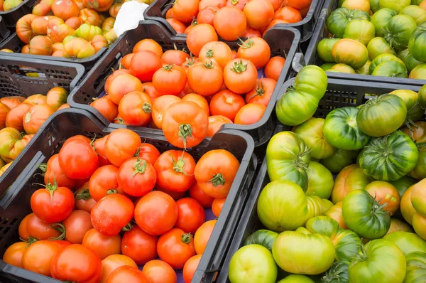 Engradados de tomates — Fotografia de Stock