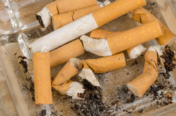 Colillas de cigarrillos de cerca — Foto de Stock