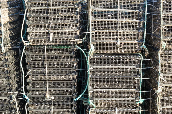Cages utilisées pour la pisciculture — Photo