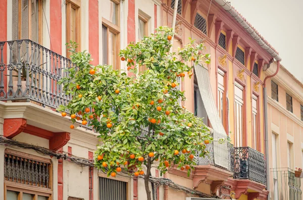 Valencia Cabanyal district — Stockfoto