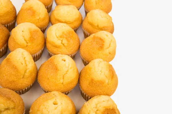 Muffins acabados de fazer — Fotografia de Stock