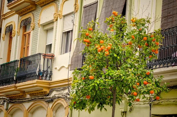 Distretto di Valencia Cabanyal — Foto Stock