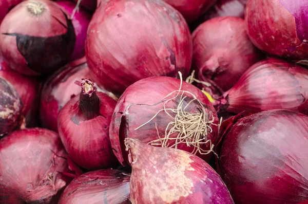Heap of red onions — Stock Photo, Image