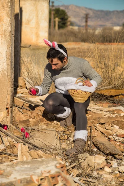 Easter bunny hiding eggs — Stock Photo, Image