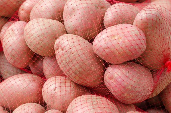 Fresh potatoes in nets — Stock Photo, Image