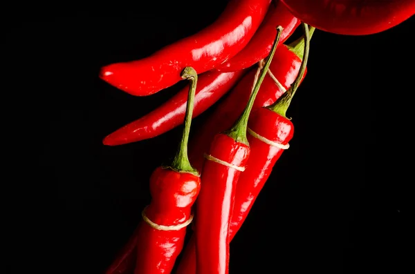 Bundle of hot peppers — Stock Photo, Image