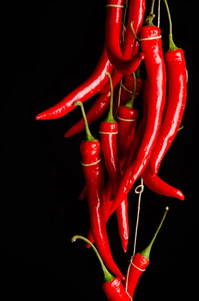 Bundle of hot peppers — Stock Photo, Image