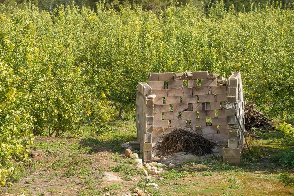 Agricultural burner amidst — Stock Photo, Image