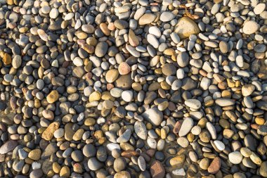 Güneşli plaj çakıl