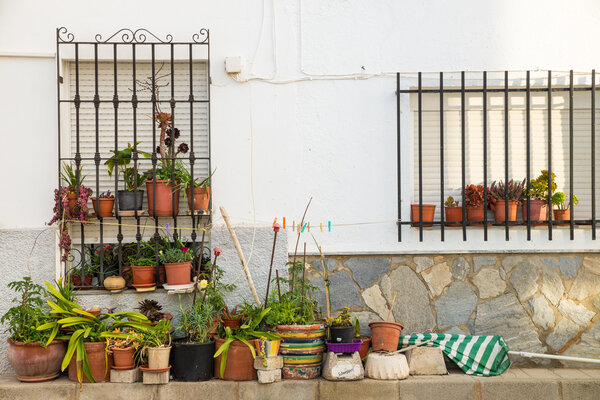 Facade with many flower pots
