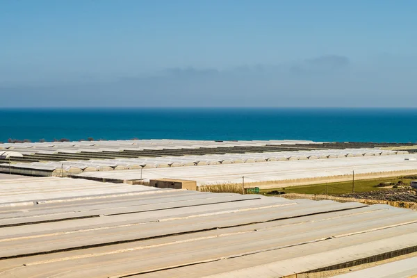 Plastica delle serre agricole — Foto Stock