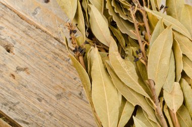 Kuru defne yaprağı