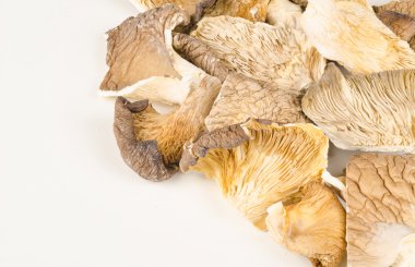 kıyılmış istiridye mantar