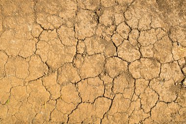 aşırı Kuru toprak