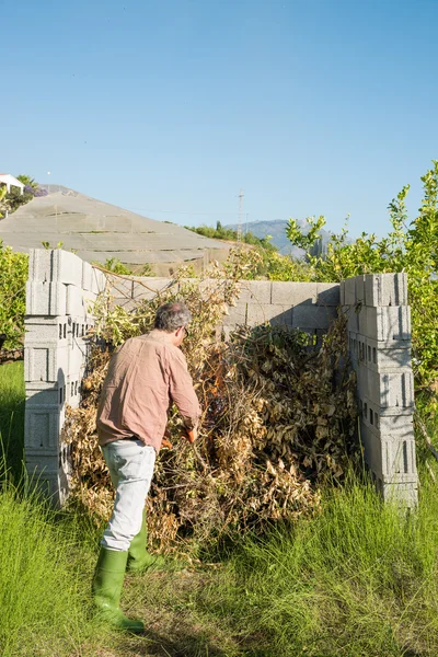 Burning pruning waste — Stock Photo, Image