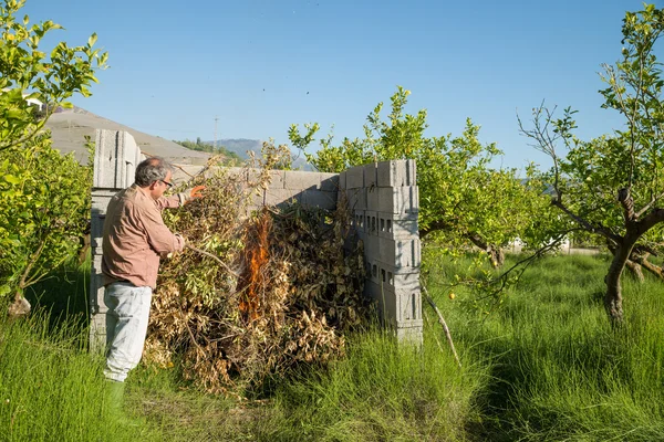 Burning pruning waste — Stock Photo, Image