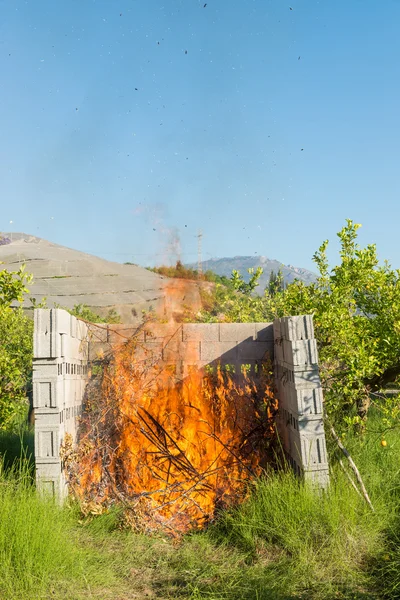 Branden snoeien afval — Stockfoto