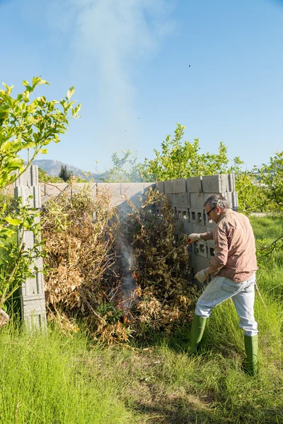 Burning beskärning avfall — Stockfoto