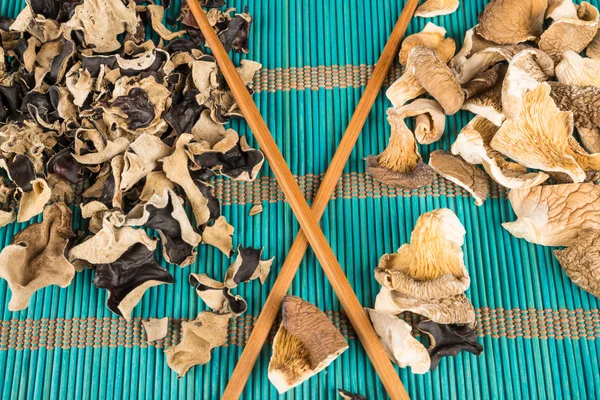 Assortment of dehydrated fungi — Stock Photo, Image