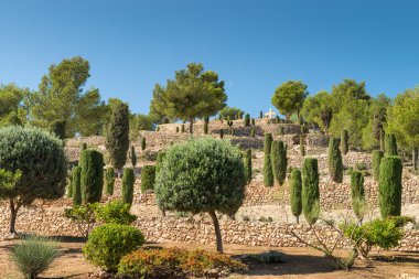 Eski crucis üzerinden