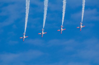 Patrulla Aguila akrobatik kadrosu