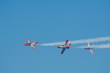 Patrulla Aguila akrobatik kadrosu