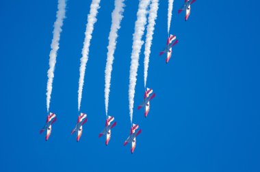 Patrulla Aguila akrobatik kadrosu