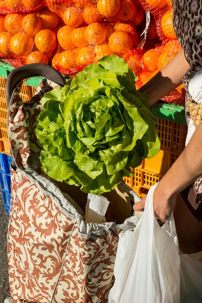 Compras de lechuga fresca — Foto de Stock