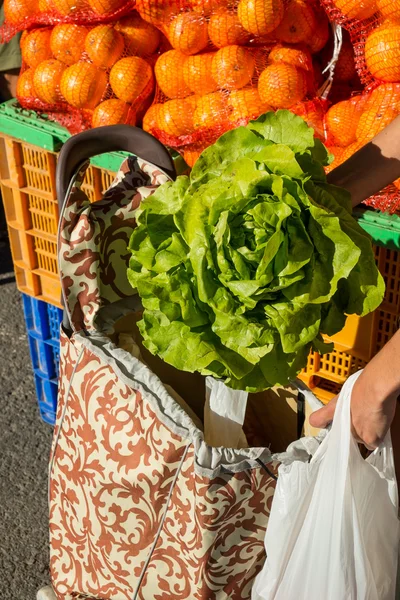 Cumpărături salată proaspătă — Fotografie, imagine de stoc