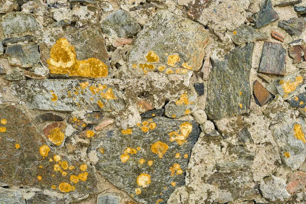 Parede de pedra calcária velha — Fotografia de Stock