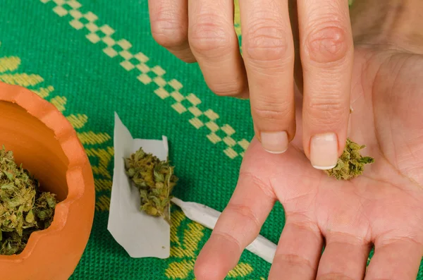 Female hands rolling a joint — Stock Photo, Image