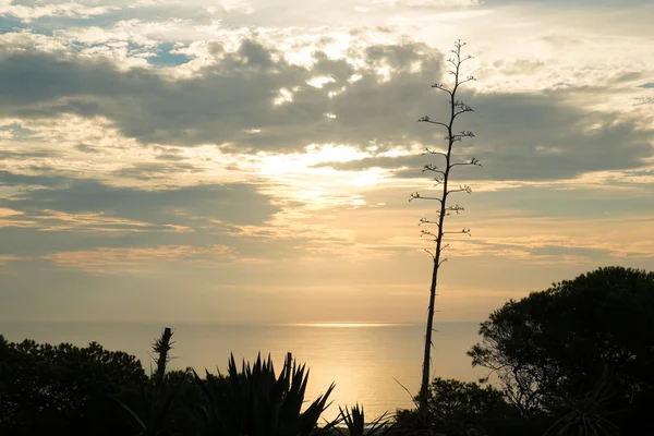 Alba Costa Blanca — Foto Stock