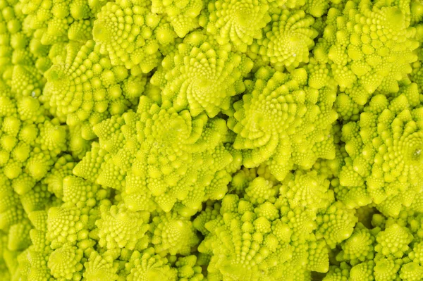 Yeşil Romanesco lahana — Stok fotoğraf
