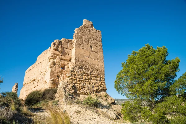 Castle ruins view — Stock Photo, Image