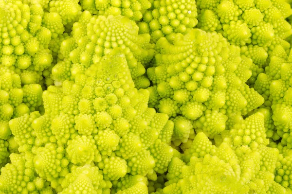 Repolho romanesco verde — Fotografia de Stock