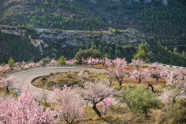 Schilderachtige bergweg — Stockfoto