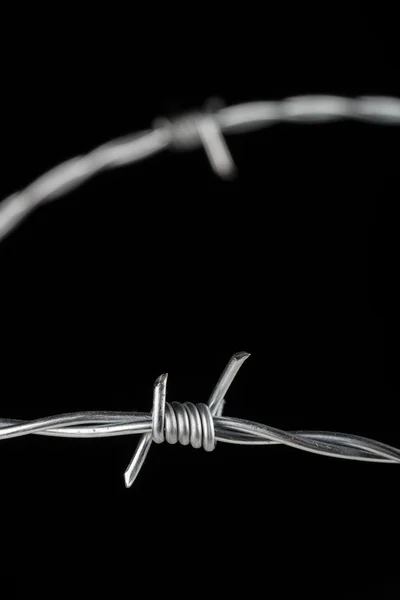 Barbed wire details — Stock Photo, Image