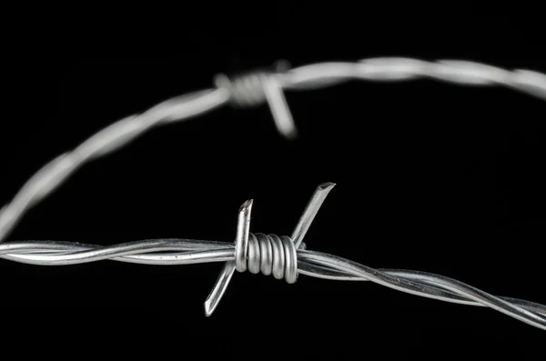 Barbed wire details — Stock Photo, Image