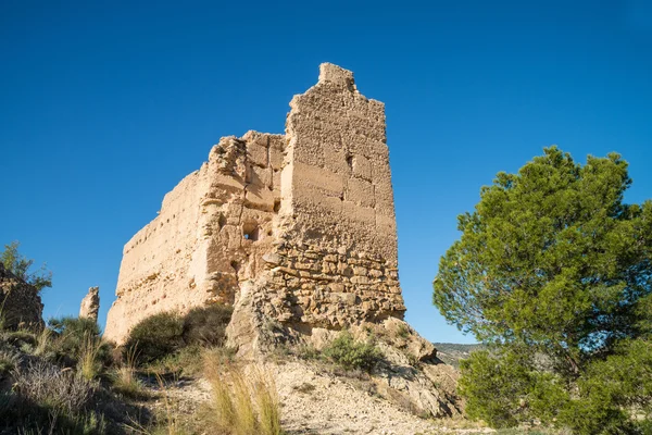 Вид на руины замка — стоковое фото