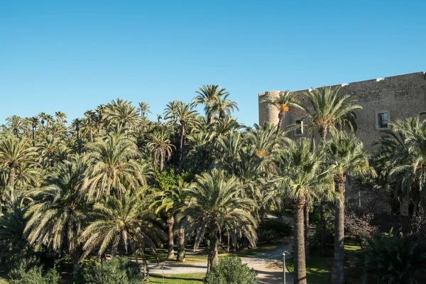 Elche centro storico — Foto Stock