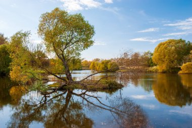 Güzel sonbahar manzarası. Sarı yapraklı sonbahar ağaçları suya yansır..
