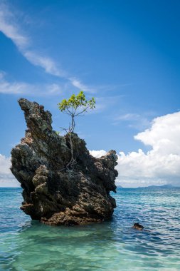 Adaman Denizi 'ndeki adalardan birinin güzel manzarası. Seyahat merkezi geçmişi. Yaz tatili. Boşluğu kopyala.