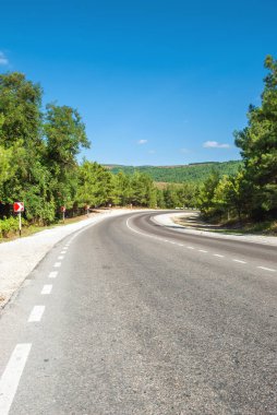 Dağ manzarası. Dağ yolu, arkadaki mavi gökyüzü ve çam ağaçlarına doğru gidiyor..