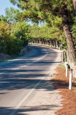 Dağ manzarası. Dağ yolu, arkadaki mavi gökyüzü ve çam ağaçlarına doğru gidiyor..