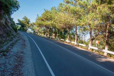 Dağ manzarası. Dağ yolu, arkadaki mavi gökyüzü ve çam ağaçlarına doğru gidiyor..