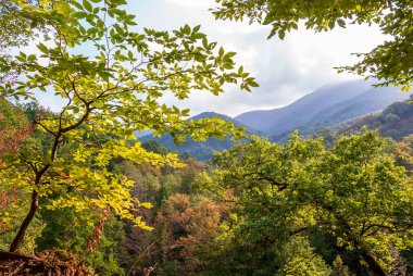 Dağ sonbahar manzarası beyaz bulutlu mavi bir gökyüzünün arka planına karşı. Divnomorskoe. Krasnodar Bölgesi.