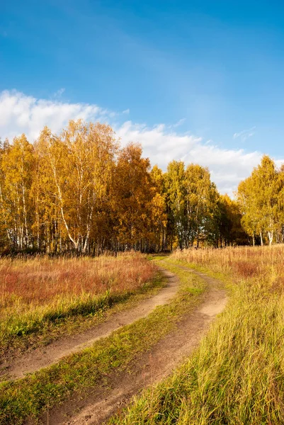 Paisagem Outono Folhagem Dourada Árvores Uma Estrada Terra Que Vai — Fotografia de Stock