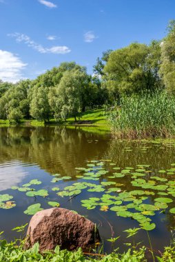 Sürahili bir göl ve sudaki gökyüzünün yansıması. Bahar ağacı yaprakları ve yeşil çimenler.